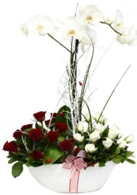 Tek dal beyaz orkide 8 beyaz 8 kırmızı gül  Ankara esertepe çiçek yolla , çiçek gönder , çiçekçi  