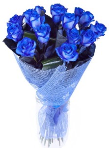 12 adet mavi gül buketi  Ankara Keçiören çiçek siparişi sitesi 