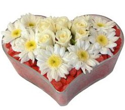 Kalp içerisinde 7 beyaz gül ve papatyalar  Ankara bağlum online çiçek gönderme sipariş 