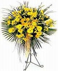  Ankara esertepe ucuz çiçek gönder  Sari kazablanka Ferforje