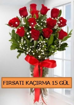  15 İthal kırmızı gül büyük başlı orjinal  Ankara şentepe internetten çiçek siparişi 