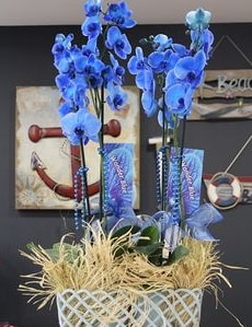 4 dallı özel mavi orkide  Ankara Keçiören uluslararası çiçek gönderme 