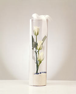  Ankara etlik İnternetten çiçek siparişi  Nazar boncuklu 3 beyaz gül