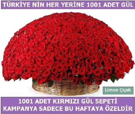 1001 Adet kırmızı gül Bu haftaya özel  Ankara Etlik çiçek gönderme 