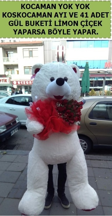 Koskocaman beyaz ayı ve 25 adet gül  Ankara şentepe internetten çiçek siparişi 