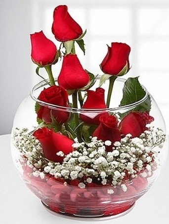 Kırmızı Mutluluk fanusta 9 kırmızı gül  Ankara şentepe internetten çiçek siparişi 