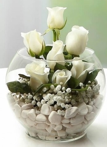 Beyaz Mutluluk 9 beyaz gül fanusta  Ankara şentepe internetten çiçek siparişi 