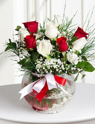 Aşk Küresi  5 beyaz 5 kırmızı gül fanusta  Ankara bağlum online çiçek gönderme sipariş 