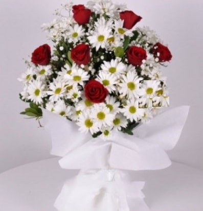 7 adet kırmızı gül ve papatyalar krizantem  Ankara bağlum online çiçek gönderme sipariş 