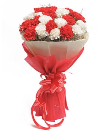 21 adet kırmızı beyaz karanfil buketi  Ankara esertepe çiçek yolla , çiçek gönder , çiçekçi  