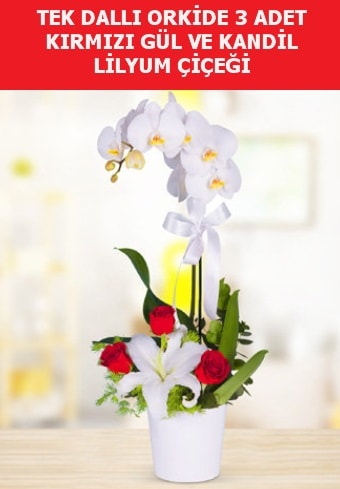 Tek dallı orkide 3 gül ve kandil lilyum  Ankara aşağı eğlence çiçek yolla 