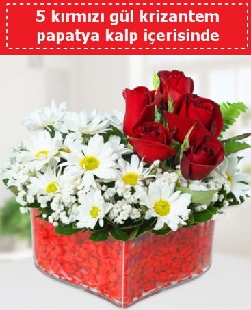 mika kalp içerisinde 5 kırmızı gül papatya  Ankara etlik İnternetten çiçek siparişi 