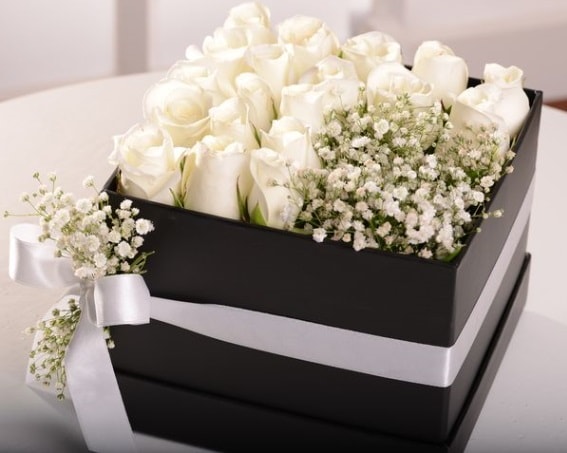 Kutu içerisinde 19 beyaz gül ve cipsofilya  Ankara kızlarpınarı yurtiçi ve yurtdışı çiçek siparişi 