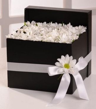 Kutuda beyaz krizantem papatya çiçekleri  Ankara şentepe internetten çiçek siparişi  