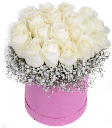 Renkli kutuda 19 adet beyaz gül  Ankara bağlum online çiçek gönderme sipariş 