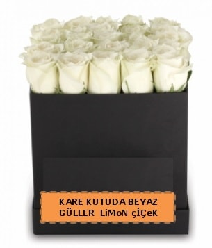 Kare kutuda 17 adet beyaz gül tanzimi  Ankara şentepe internetten çiçek siparişi 