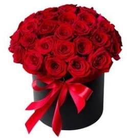 25 adet kırmızı gül kız isteme çiçeği  Ankara bağlum online çiçek gönderme sipariş 