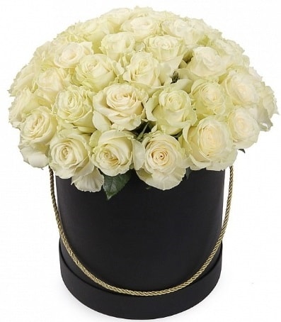 33 adet beyaz gül özel kutuda isteme çiçeği  Ankara bağlum online çiçek gönderme sipariş 