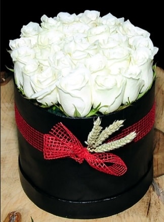 Özel kutuda 27 adet beyaz gül  Ankara Ufuktepe çiçek online çiçek siparişi 